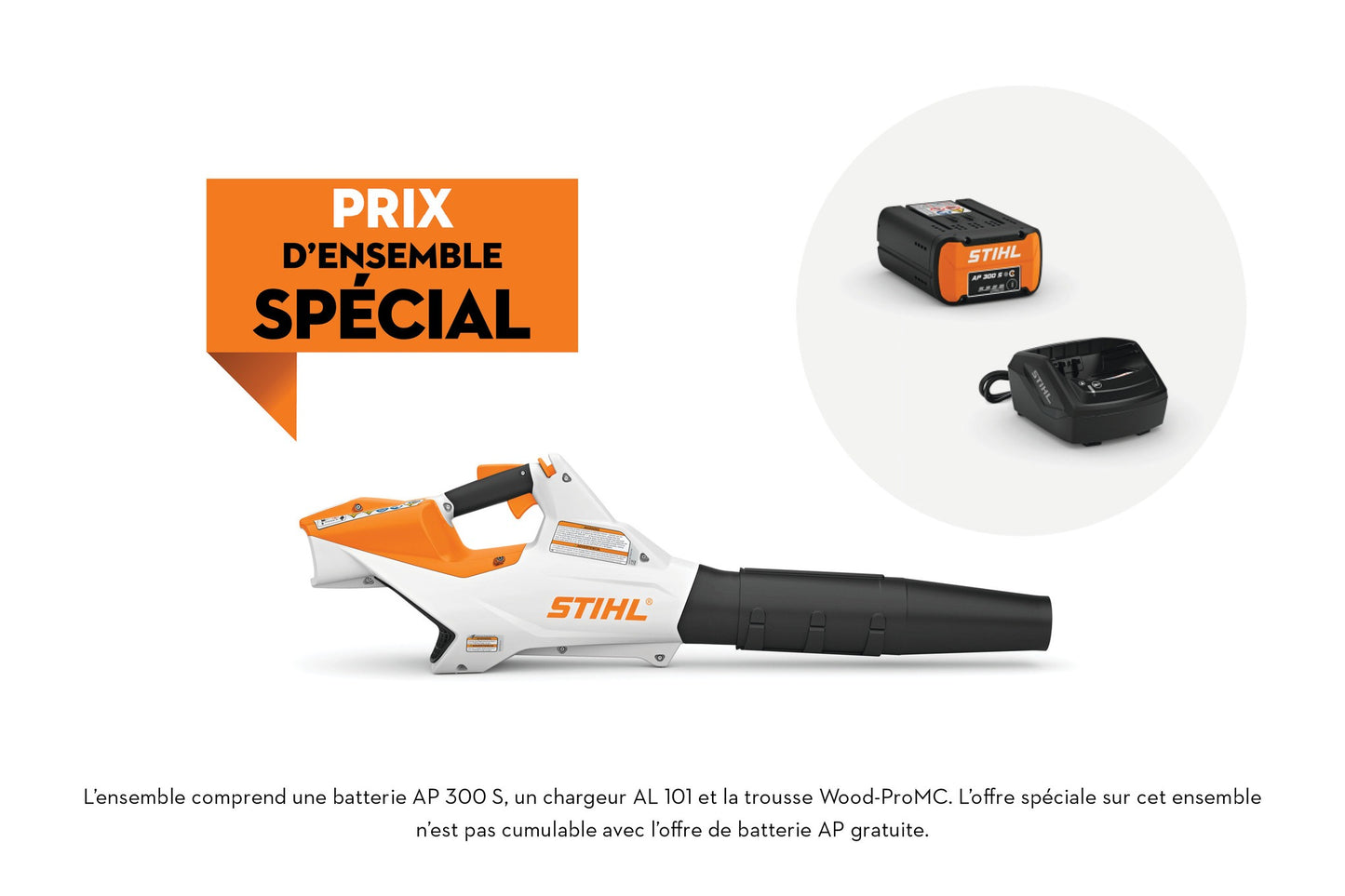 SOUFFLEUR À BATTERIE STIHL BGA86 (ENSEMBLE)