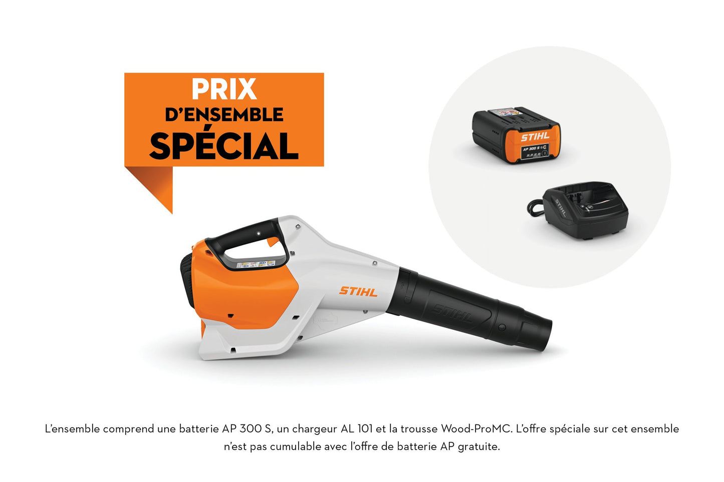 SOUFFLEUR À BATTERIE STIHL BGA160 (ENSEMBLE)
